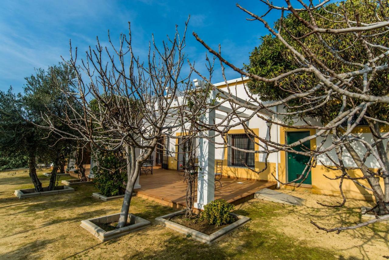 Vivienda Rural Olivar De San Telmo Holiday home Arcos de la Frontera