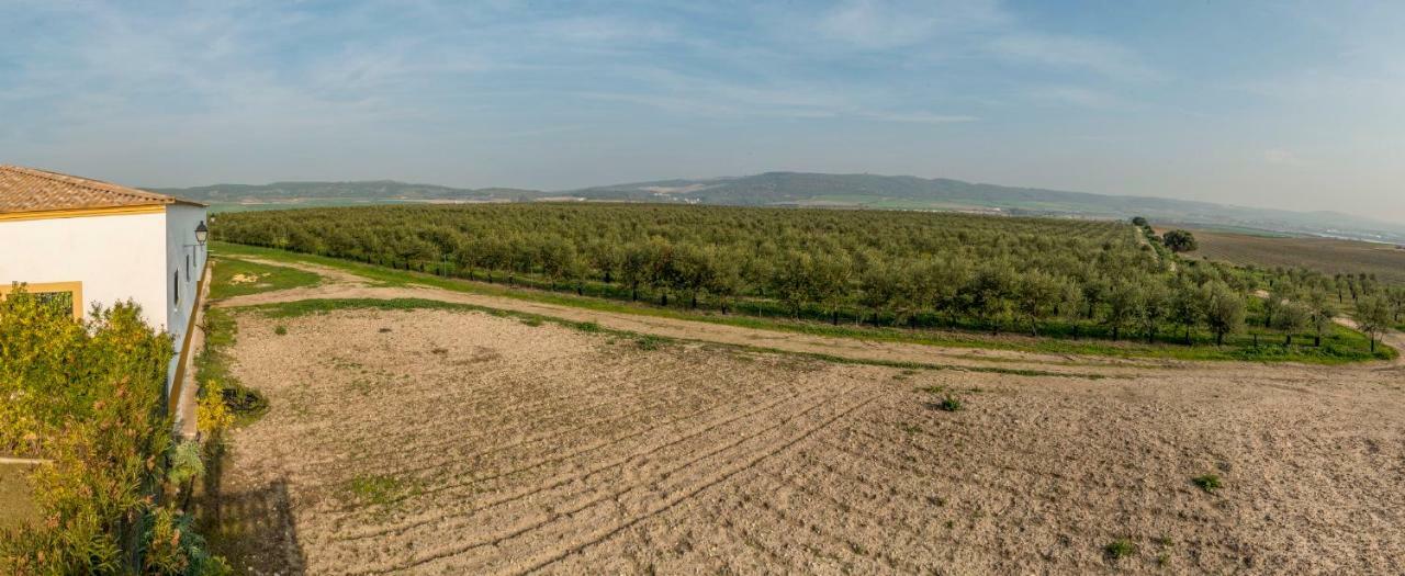 Vivienda Rural Olivar De San Telmo *